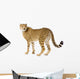 Cheetah standing adult Wall Decal