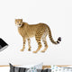 Cheetah standing adult Wall Decal