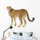 Cheetah standing adult Wall Decal
