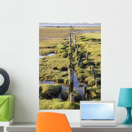 Eider Field Wall Decal