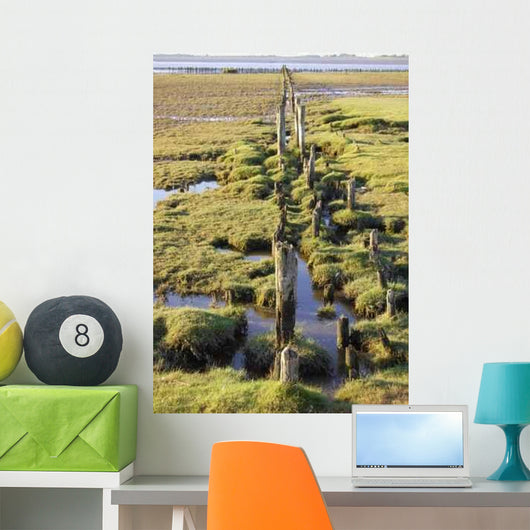 Eider Field Wall Decal