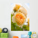 yellow romantic roses in garden Wall Mural