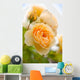 yellow romantic roses in garden Wall Mural