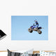atv Wall Mural