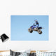 atv Wall Mural