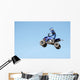 atv Wall Mural