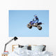 atv Wall Mural
