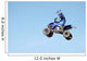 atv Wall Mural