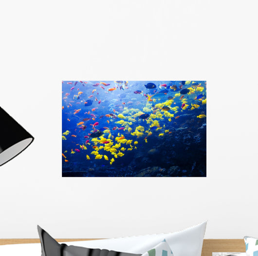 Pacific Barrier Reef with