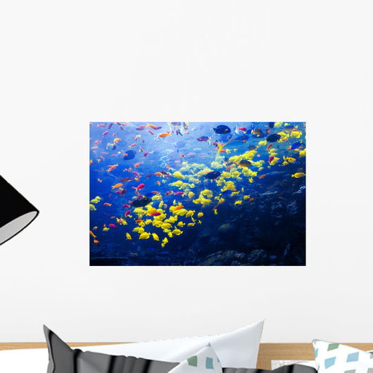 Pacific Barrier Reef with