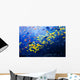 Pacific Barrier Reef with