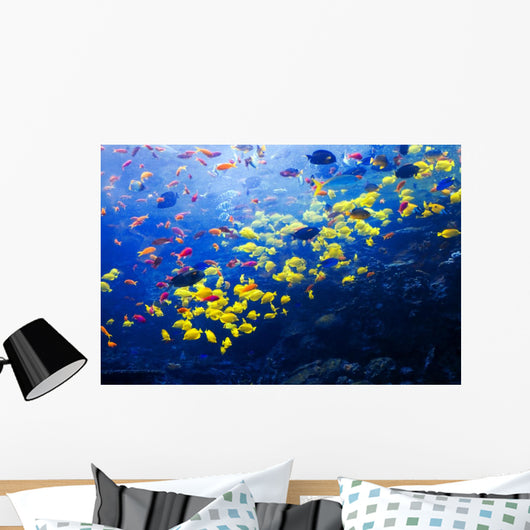 Pacific Barrier Reef with