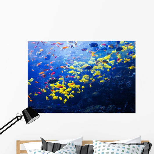 Pacific Barrier Reef with