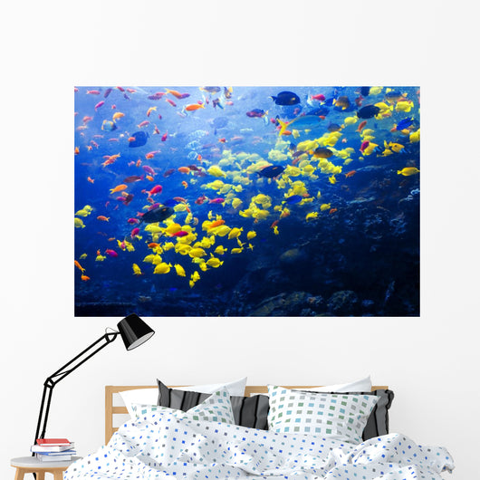 Pacific Barrier Reef with