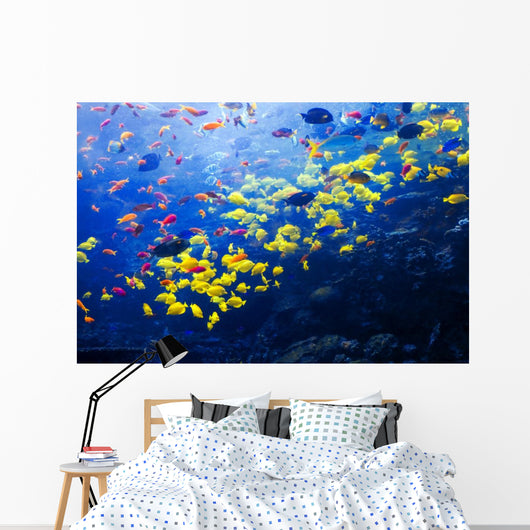 Pacific Barrier Reef with