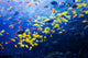 Pacific Barrier Reef with