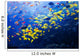Pacific Barrier Reef with