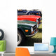 Details of Vintage British Cars Wall Mural