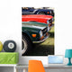 Details of Vintage British Cars Wall Mural