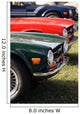 Details of Vintage British Cars Wall Mural