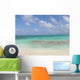 Spiaggia Pink Sand Bahamas Wall Mural