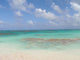Spiaggia Pink Sand Bahamas Wall Mural