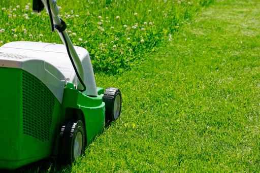 Mower and Grass Wall Decal
