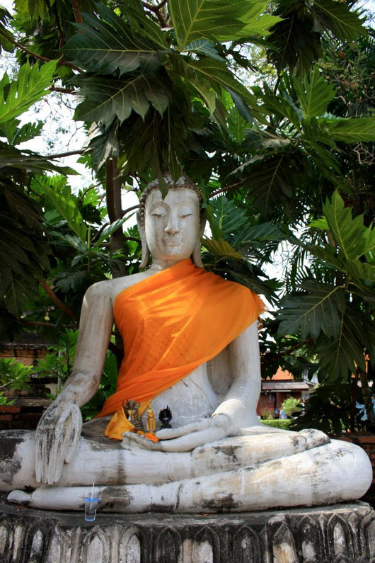 Buddha Wall Mural
