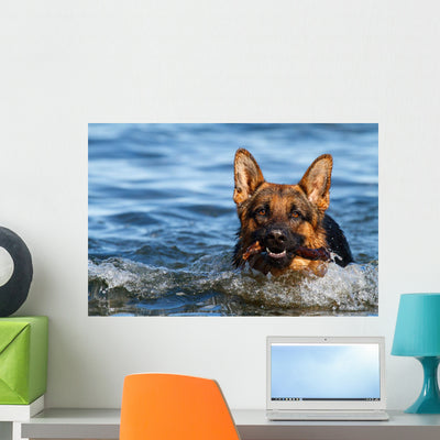 German Shepherd Water shown on a wall