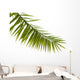 Green palm leaf isolated on white background Wall Decal