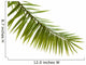 Green palm leaf isolated on white background Wall Decal