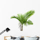 Palm Tree White