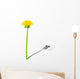 Young dandelion with shade of the old dandelion Wall Decal