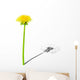Young dandelion with shade of the old dandelion Wall Decal