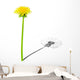 Young dandelion with shade of the old dandelion Wall Decal