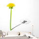 Young dandelion with shade of the old dandelion Wall Decal