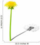 Young dandelion with shade of the old dandelion Wall Decal