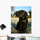 Black Dog Wall Mural