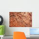 Stone Texture Wall Decal