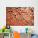 Stone Texture Wall Decal