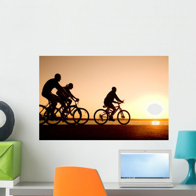 Friends Bicycles Wall Mural shown on a wall