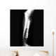 X-ray of Forearm Wall Mural