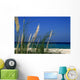 White Sand Beach