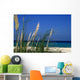 White Sand Beach