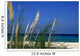 White Sand Beach