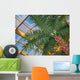 Window to Paradise