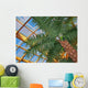 Window to Paradise