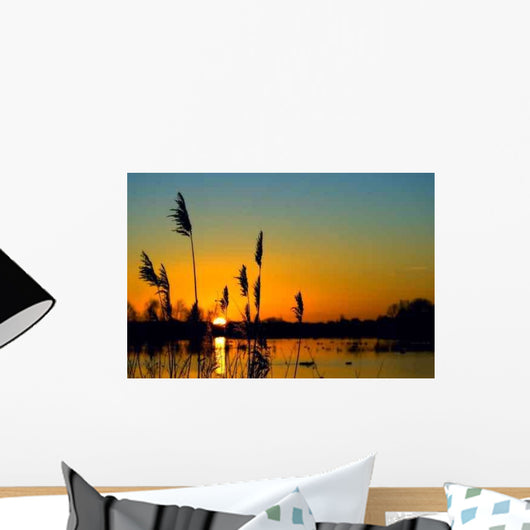 Sunset over Wetland Wall Decal
