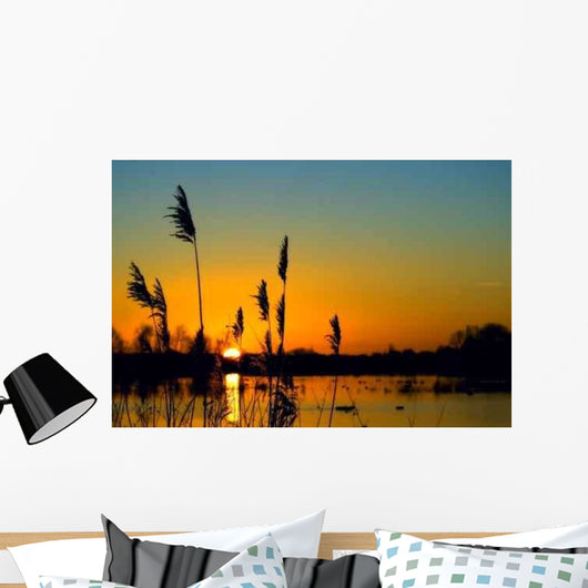 Sunset over Wetland Wall Decal
