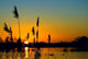 Sunset over Wetland Wall Decal